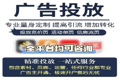 SEM代运营服务公司成功案例解析